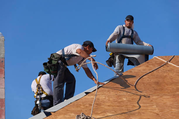 Best Metal Roofing Contractor  in Simpsonville, KY